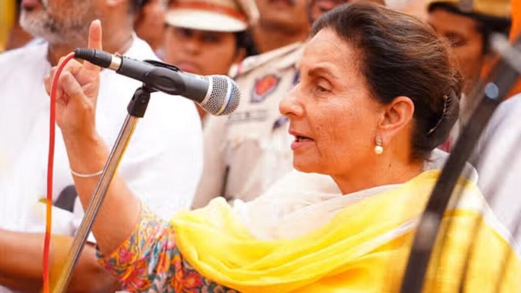 Local Governance in Patiala: Achievements & Failures